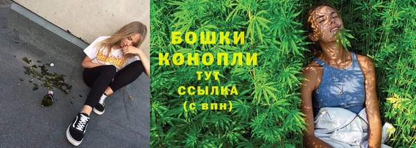 соль ск Балахна