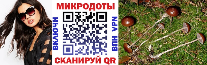 купить закладку  Белая Холуница  Галлюциногенные грибы MAGIC MUSHROOMS 